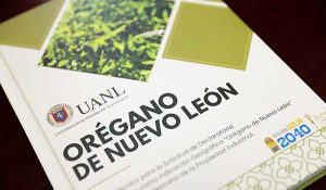 oregano-oro-verde-nuevo-leon-9
