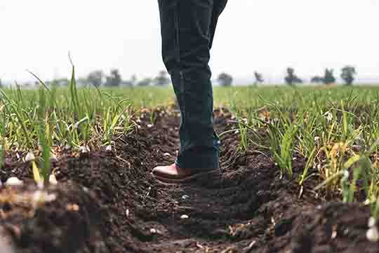 imagen-agronegocios-6